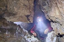 Full-Day Tour, Waterfalls, Caves, Old Growth on Vancouver Island