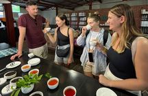 Handmade Tea Tour in Ella Sri Lanka