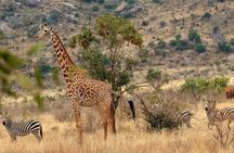 2 Day Watamu/Malindi to Tsavo East safari using a 4x4 Jeep