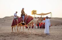 Premium Dubai Desert Safari with Dune Bashing, BBQ, Live Shows 