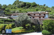Domaso: Wine Tasting at the Winery on Como Lake