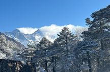 Everest View Trek