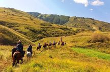Private Chon Kemin National Park Horseback Riding Tour