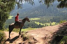 Private Chon Kemin National Park Horseback Riding Tour