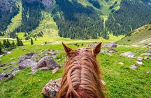 Private Chon Kemin National Park Horseback Riding Tour