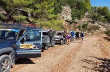 Self-Driving Off-Road Buggy Tour with Experienced Guide 