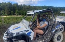 Self-Driving Off-Road Buggy Tour with Experienced Guide 