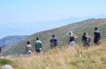 Full Day Jeep Safari Pelister Tour from Ohrid and or Bitola
