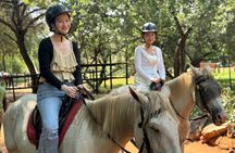 Exhilarating Horseback Safari from Johannesburg