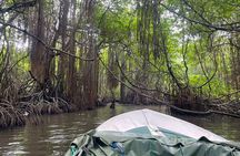 2h Private Bentota River Safari Tour with Pickup