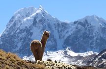 Rainbow Mountain Vinicunca Full Day And Red Valley