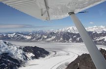 Denali Southside Adventure Flightseeing Tour from Talkeetna