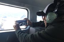Denali Southside Adventure Flightseeing Tour from Talkeetna