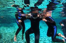 Small Group 6 Passenger Manatee Swim 