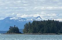 Whale Watching Adventure in Juneau