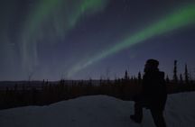 Fairbanks Northern Lights Adventure with free Aurora portraits 