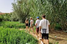 3 Days Desert Tour From Marrakech to Merzouga 