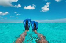 Catamaran in Cozumel with snorkeling at El Cielo and open Bar