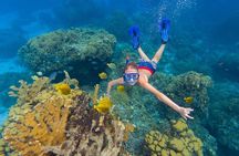 Kaan Luum Lagoon and Cenote Snorkel Tour in Tulum