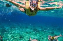 Kaan Luum Lagoon and Cenote Snorkel Tour in Tulum