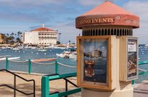 2 Hour Private Tour of Avalon