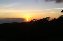 Monteverde Night Walk Tour