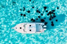 Cayman Private Luxury Charters - Stingray City, Snorkel, & More