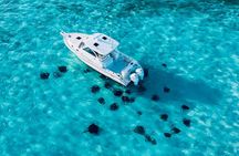 Cayman Private Luxury Charters - Stingray City, Snorkel, & More