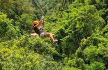 Roatan Excursion: Rum Company, Chocolate Factory with Sloths Park