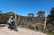 Self Guided Ebike Winery Tour in the Adelaide Hills