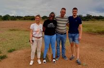 3Days/2Nights Masai Mara Safari on Midrange camp with Landcruiser