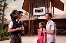 Night Safari with Buffet Dinner with hotel pick-up