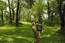 Private Full Day Wild Trails at Thekkady
