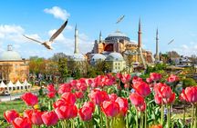 8 Days Turkey Tour Istanbul Cappadocia Ephesus Pamukkale by Anker