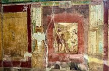 Pompeii Guided Tour with Skip the Line from Naples