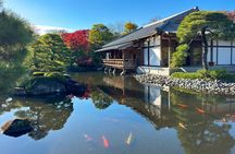 From Osaka: Himeji Castle, Arima Onsen and Mt.Rokko 1Day Bus Tour