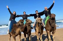 Tangier Private Day Tour From Tarifa Including Ferry & Camel Ride