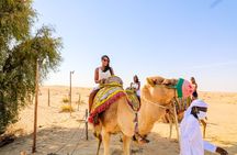 Dubai: Sunset Camel Trek, Al Khayma Camp, Stargazing & BBQ