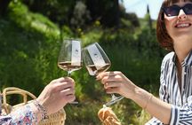 Luch Time Tasting & Winery Tour