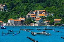 Oyster farm experience private day trip from Dubrovnik