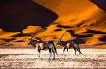 6 Days Sossusvlei, Swakopmund and Etosha National Park Lodging