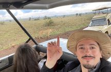 4 Days Masai Mara and Lake Nakuru Safari