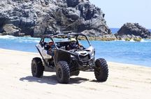 NEW! Off-Road Cabo Adventure: Beach & Desert Ride Tequila Tasting