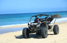 NEW! Off-Road Cabo Adventure: Beach & Desert Ride Tequila Tasting
