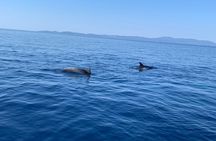 Customized boat trip from Split