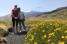 Etna and Alcantara Gorges Excursion