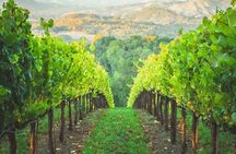 6 Hours Healdsburg Wine Tour with Luxury SUV