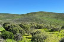 6 Hours Healdsburg Wine Tour with Luxury SUV