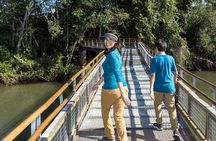 2-Day Iguazu Falls with Optional Airfare from Buenos Aires