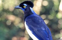 2-Day Iguazu Falls with Optional Airfare from Buenos Aires